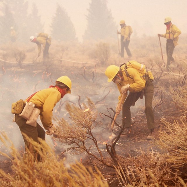 Wildland firefighters working in the field